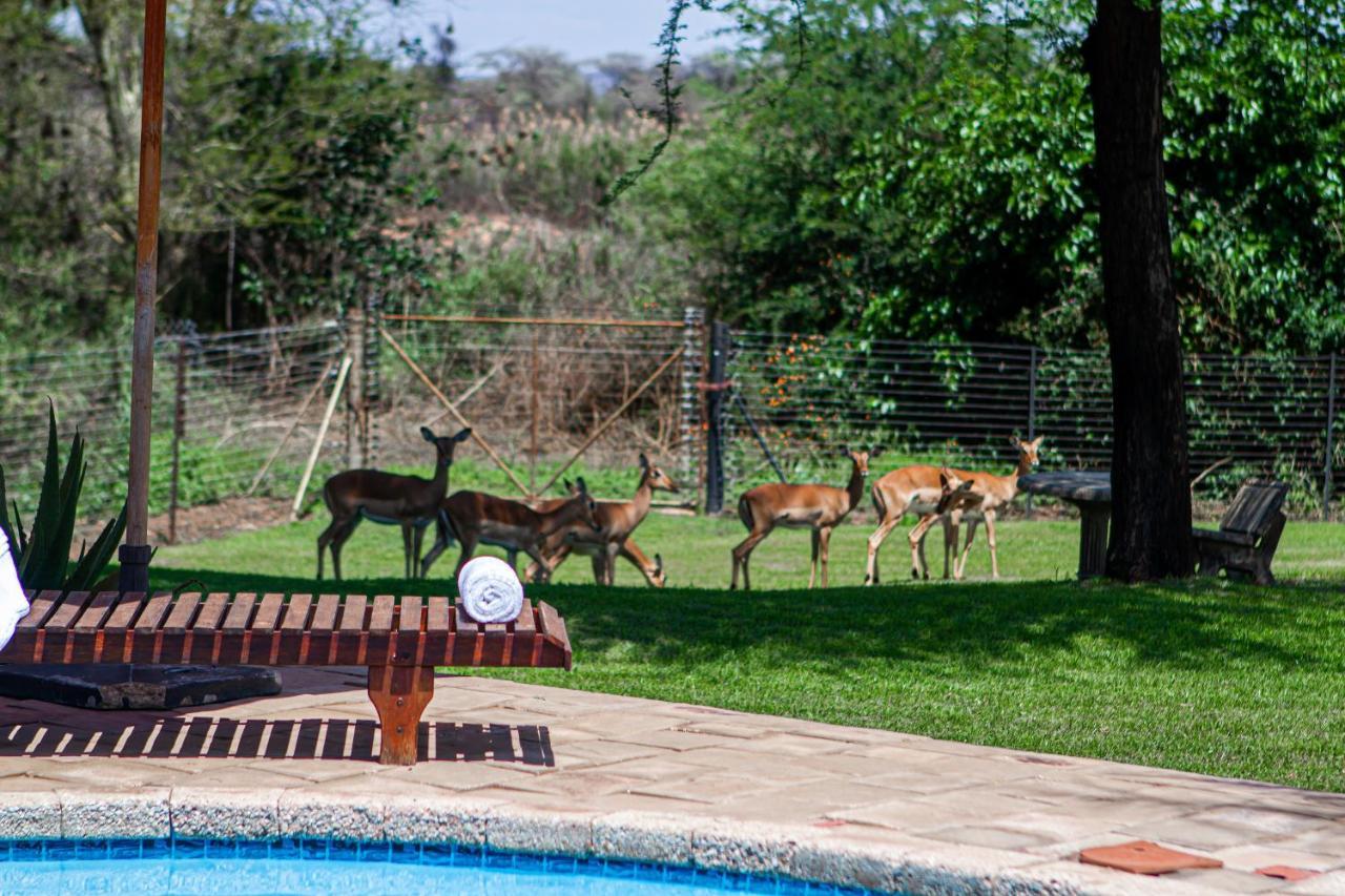 Machauka Lodge Lephalale Luaran gambar