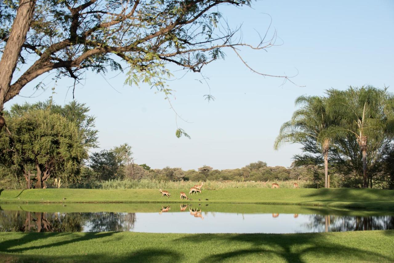 Machauka Lodge Lephalale Luaran gambar